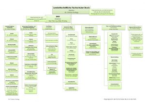 Organigramm