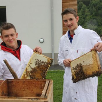 Bienenfacharbeiter