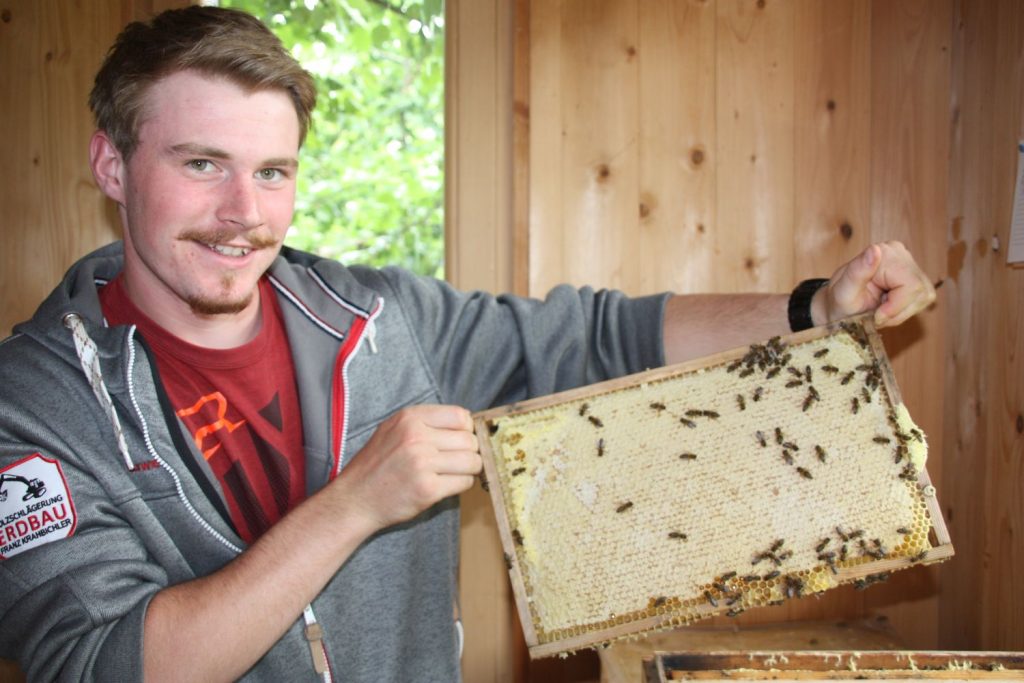 Honigernte Bienenfacharbeiter