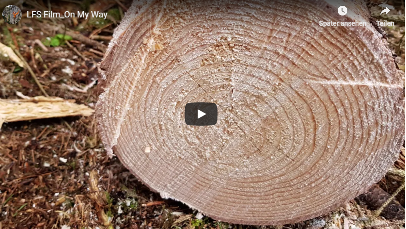 Video Waldwirtschaft