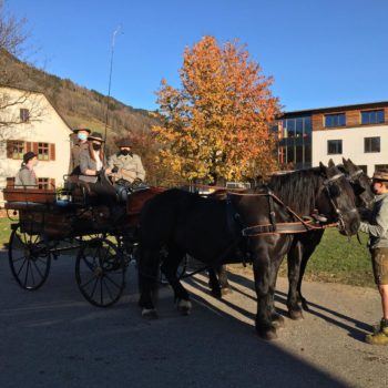 Schüler beim Kutschenfahren